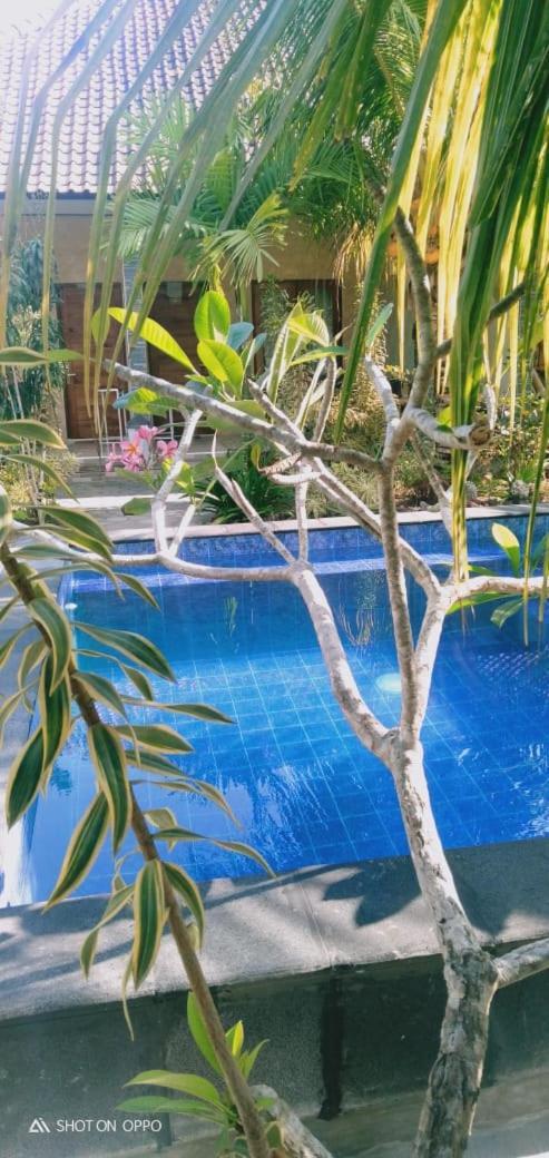 Belong Home Stay Lembongan מראה חיצוני תמונה