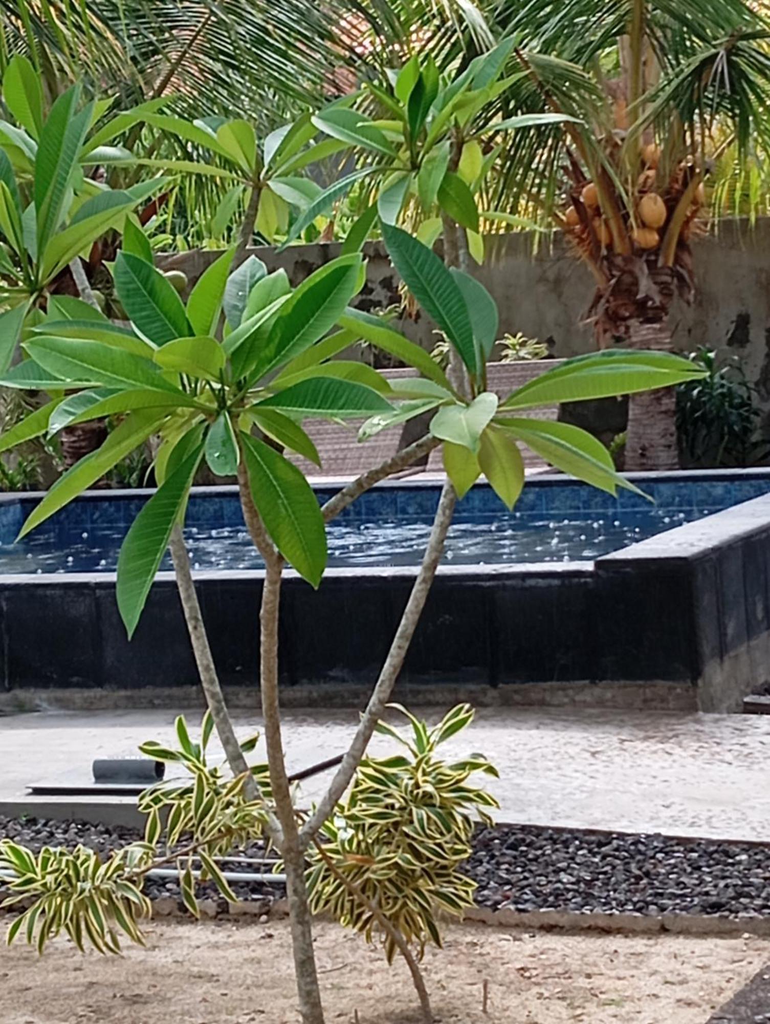 Belong Home Stay Lembongan מראה חיצוני תמונה
