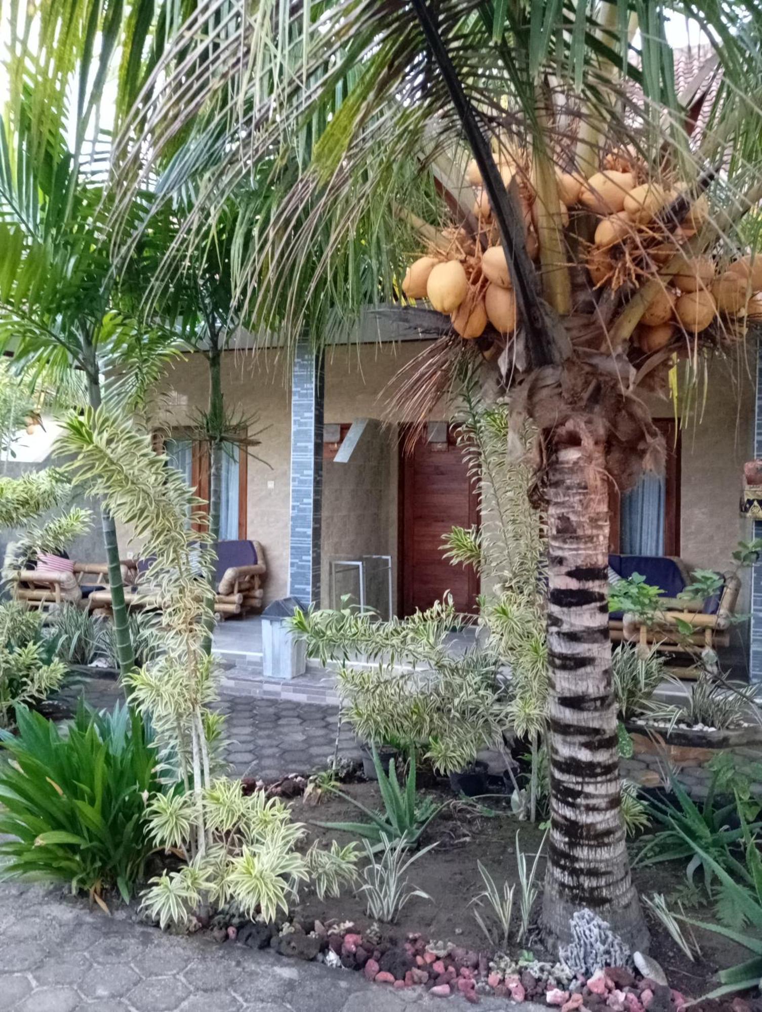 Belong Home Stay Lembongan חדר תמונה